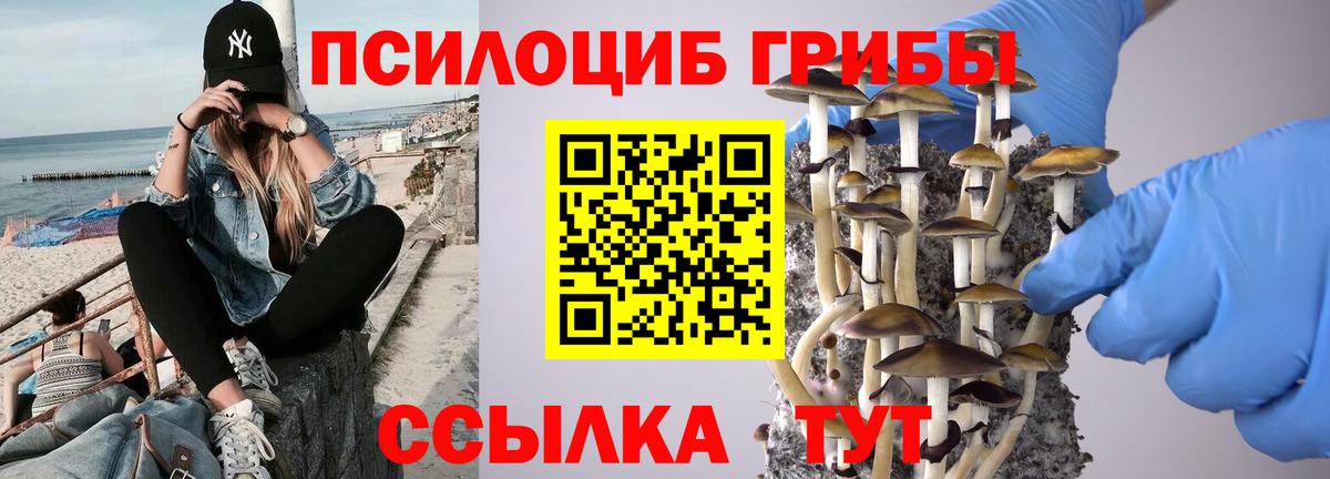 Галлюциногенные грибы мицелий  Псилоцибиновые грибы прущие грибы  Учалы  Вход с VPN 